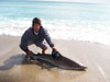 Josh Jorgensen with a blacktip shark caught during the 2008 Blacktip Challenge shark fishing tournament in Florida