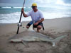 Zach Meyer with a blacktip shark caught during the 2008 Blacktip Challenge shark fishing tournament in Florida