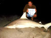 ILSFA world record blacktip shark caught by Chris Bishop during the 2009 Blacktip Challenge shark fishing tournament in Florida