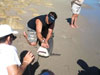 William Fundora and Joshua Jorgensen removing a hook from a blacktip shark during the 2009 Blacktip Challenge shark fishing tournament in Florida