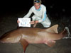 Mike Croke with a huge nurse shark caught during the 2011 Blacktip Challenge shark fishing tournament in Florida