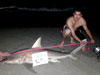Jimmy Dean with a blacktip shark caught during the 2011 Blacktip Challenge shark fishing tournament in Florida