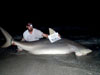 Pete Barrett with a 500lb Bull Shark caught during the 2011 Blacktip Challenge shark fishing tournament in Florida