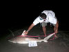 William Fundora measuring a blacktip shark during the 2011 Blacktip Challenge shark fishing tournament in Florida