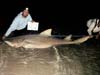 Ray Muniz won the 2012 Blacktip Challenge shark fishing tournament in Florida with this huge lemon shark