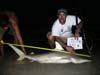 William Fundora with a blacktip shark caught during the 2012 Blacktip Challenge shark fishing tournament in Florida