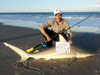 Adam Bees caught this blacktip shark during the 2013 Blacktip Challenge shark fishing tournament in Florida
