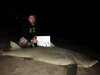 Team Pittsburgh caught this huge lemon shark during the 2013 Blacktip Challenge shark fishing tournament in Florida