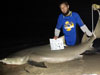 Adam caught this huge lemon shark during the 2014 Blacktip Challenge shark fishing tournament in Florida