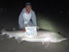 Sand Tiger shark caught by Team Bombers in the 2015 Blacktip Challenge